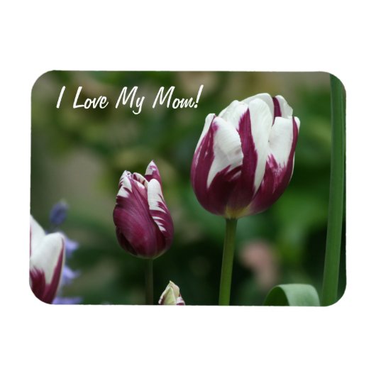 Magnet Flexible Maman Tulipe pourpre (Horizontal)