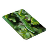 Magnet Flexible Mamba vert de l'Est (Dendroaspis Angusticeps) (Côté Droit)