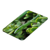 Magnet Flexible Mamba vert de l'Est (Dendroaspis Angusticeps) (Côté Gauche)