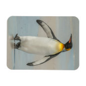 Magnet Flexible Manchot empereur marchant sur la plage (Horizontal)