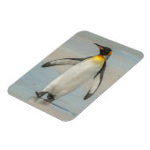 Magnet Flexible Manchot empereur marchant sur la plage (Côté Gauche)