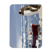 Magnet Flexible Manchot papou (Vertical)