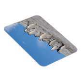 Magnet Flexible Manchots à Collier | Pygoscelis Antarctica (Côté Droit)