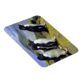 Magnet Flexible Manchots bouclés, (Eudyptes chrysocome), (Côté Droit)