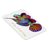 Magnet Flexible Mandarin coloré Goby Reef Poisson Premium Flexi Ma (Côté Droit)
