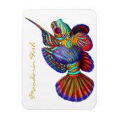 Magnet Flexible Mandarin coloré Goby Reef Poisson Premium Flexi Ma (Vertical)