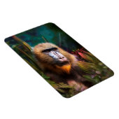 Magnet Flexible Mandril Baboon MASK DANS LA JUNGLE (Côté Droit)