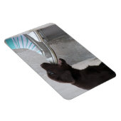 Magnet Flexible Mange Ma Chaussure ! Labrador Puppy (Côté Droit)