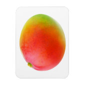Magnet Flexible Mango (Vertical)