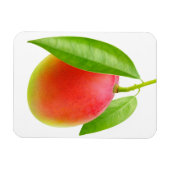 Magnet Flexible Mango (Horizontal)
