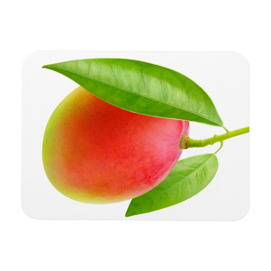 Magnet Flexible Mango (Horizontal)