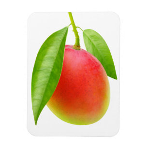 Magnet Flexible Mango