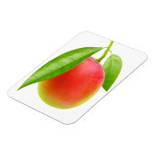 Magnet Flexible Mango (Côté Gauche)