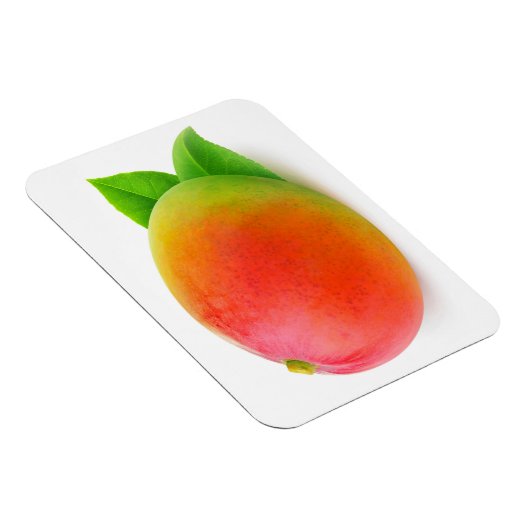 Magnet Flexible Mango (Côté Droit)