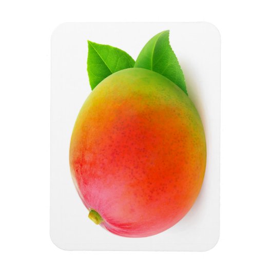 Magnet Flexible Mango (Vertical)