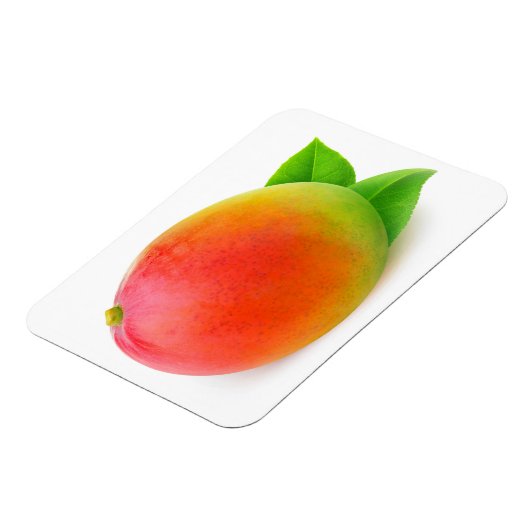 Magnet Flexible Mango (Côté Gauche)