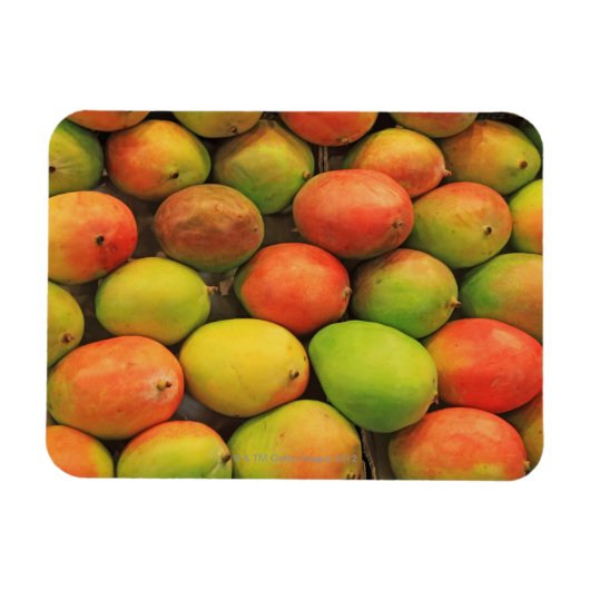 Magnet Flexible Mangos, Espagne, Catalogne, Barcelone, La Boqueria (Horizontal)