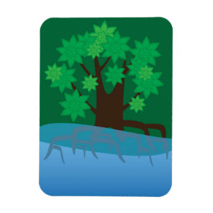 Magnet Flexible Mangrove