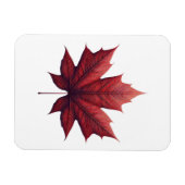 Magnet Flexible Mapel leaf (Horizontal)