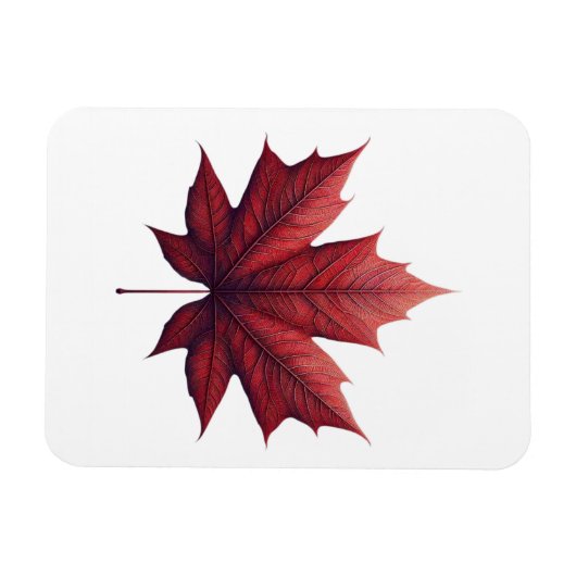 Magnet Flexible Mapel leaf (Horizontal)