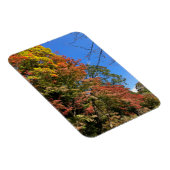 Magnet Flexible Maples colorées vives (Côté Droit)