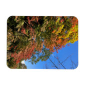 Magnet Flexible Maples colorées vives (Horizontal)