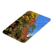 Magnet Flexible Maples colorées vives (Côté Gauche)