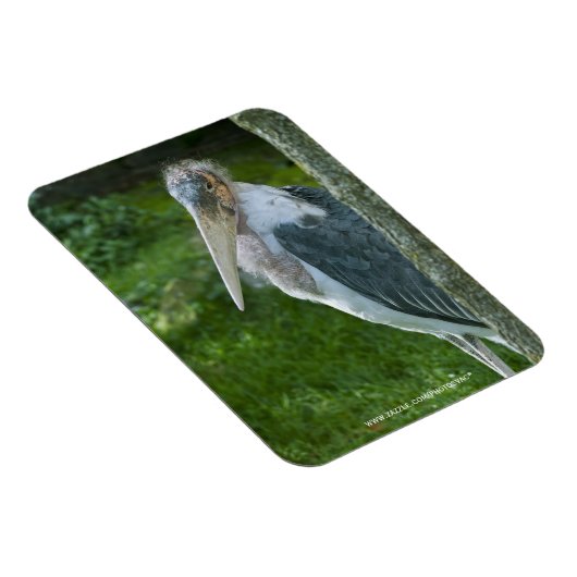 Magnet Flexible Marabou (Côté Droit)