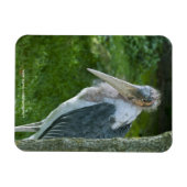 Magnet Flexible Marabou (Horizontal)