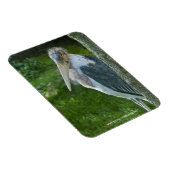 Magnet Flexible Marabout (Côté Droit)