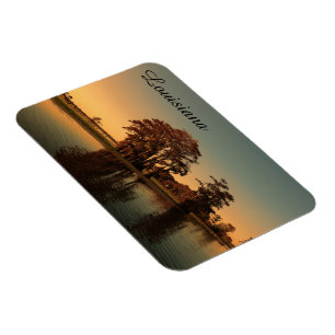 Magnet Flexible Marais de Louisiane