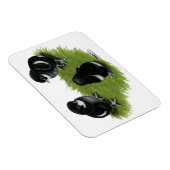 Magnet Flexible Marans Cuivre noir Chicks (Côté Droit)