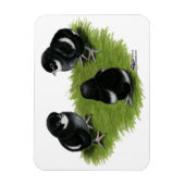 Magnet Flexible Marans Cuivre noir Chicks (Vertical)