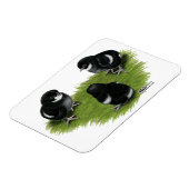 Magnet Flexible Marans Cuivre noir Chicks (Côté Gauche)