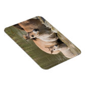 Magnet Flexible Mare avec Foal Crossing a River (Côté Droit)