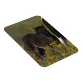 Magnet Flexible Mare miniature et Foal dans les fleurs (Côté Droit)