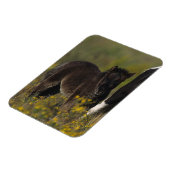 Magnet Flexible Mare miniature et Foal dans les fleurs (Côté Gauche)