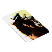 Magnet Flexible Mares et Chevaux à l'épreuve (Côté Droit)