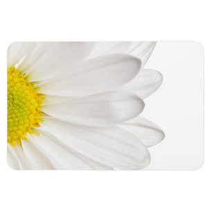 Magnet Flexible Marguerites customisées par arrière - plan de