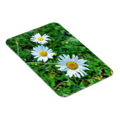 Magnet Flexible Marguerites oculaires (Côté Droit)