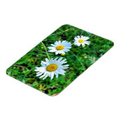 Magnet Flexible Marguerites oculaires (Côté Gauche)