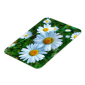 Magnet Flexible Marguerites oculaires (Côté Gauche)