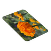 Magnet Flexible Marigold Orange Fleur Nature Jardin photographique (Côté Droit)