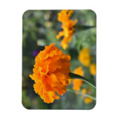 Magnet Flexible Marigold Orange Fleur Nature Jardin photographique (Vertical)