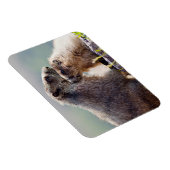 Magnet Flexible Marmotte mère avec bébé (Côté Droit)