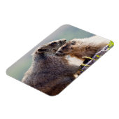 Magnet Flexible Marmotte mère avec bébé (Côté Gauche)