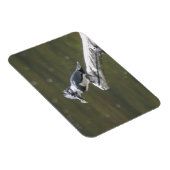 Magnet Flexible Martin-pêcheur (Côté Droit)