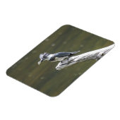 Magnet Flexible Martin-pêcheur (Côté Gauche)