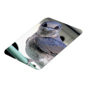 Magnet Flexible Martin pourpre (Côté Gauche)