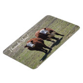 Magnet Flexible Masculine Merci de vache (Côté Gauche)